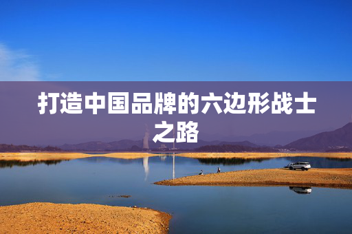 打造中国品牌的六边形战士之路