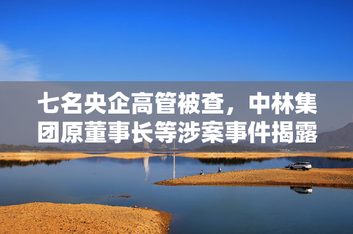 七名央企高管被查，中林集团原董事长等涉案事件揭露