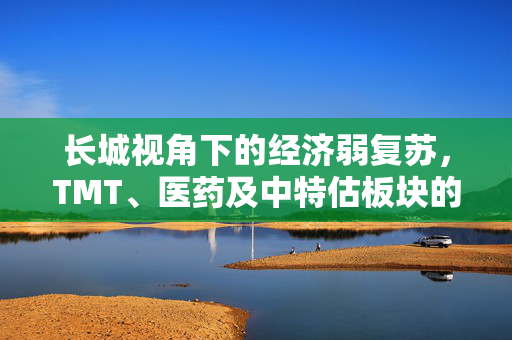 长城视角下的经济弱复苏，TMT、医药及中特估板块的机遇与挑战