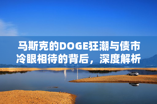 马斯克的DOGE狂潮与债市冷眼相待的背后，深度解析市场现象
