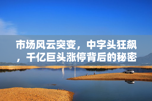 市场风云突变，中字头狂飙，千亿巨头涨停背后的秘密