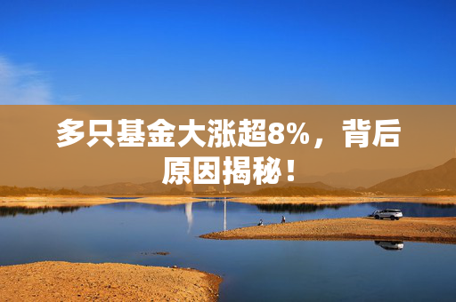 多只基金大涨超8%，背后原因揭秘！