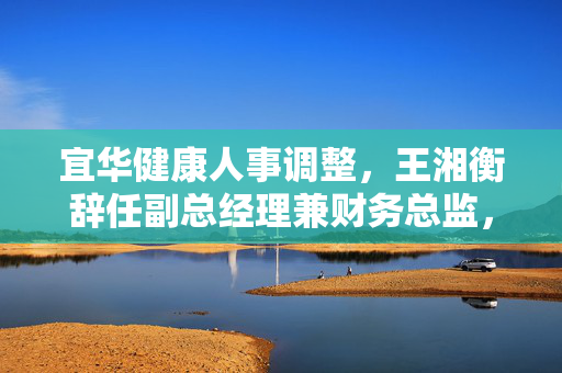 宜华健康人事调整，王湘衡辞任副总经理兼财务总监，邱奕初晋升新职务