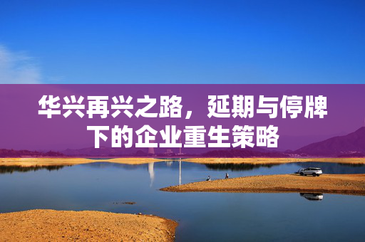 华兴再兴之路，延期与停牌下的企业重生策略