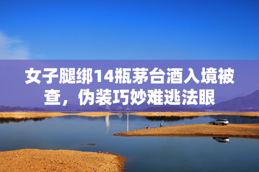 女子腿绑14瓶茅台酒入境被查，伪装巧妙难逃法眼