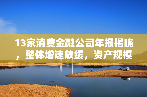 13家消费金融公司年报揭晓，整体增速放缓，资产规模分化明显
