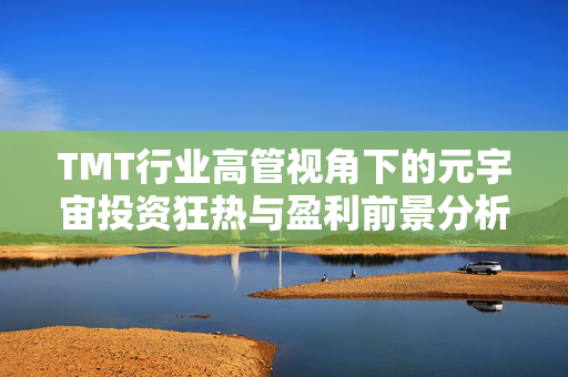 TMT行业高管视角下的元宇宙投资狂热与盈利前景分析