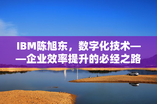 IBM陈旭东，数字化技术——企业效率提升的必经之路