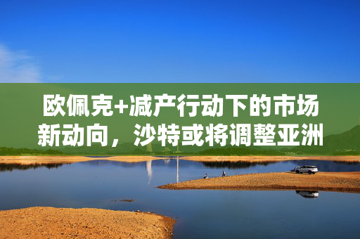 欧佩克+减产行动下的市场新动向，沙特或将调整亚洲原油价格策略