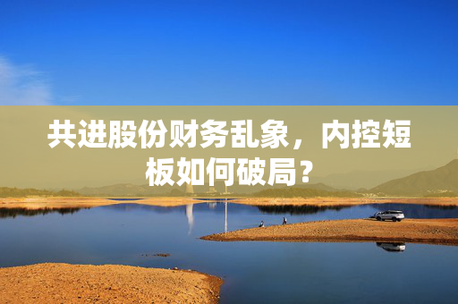 共进股份财务乱象，内控短板如何破局？