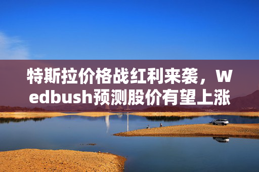 特斯拉价格战红利来袭，Wedbush预测股价有望上涨8%