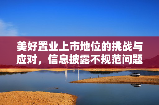 美好置业上市地位的挑战与应对，信息披露不规范问题解析