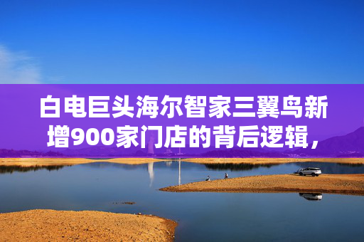 白电巨头海尔智家三翼鸟新增900家门店的背后逻辑，智能家居市场押注与战略布局