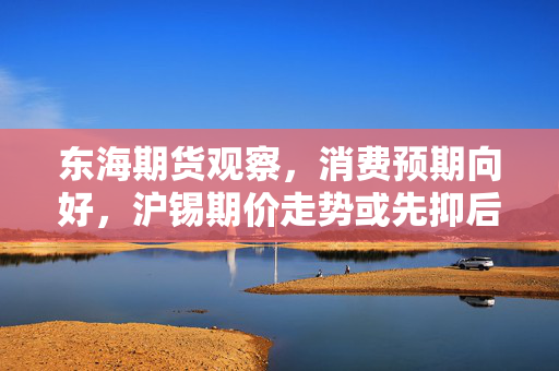 东海期货观察，消费预期向好，沪锡期价走势或先抑后扬