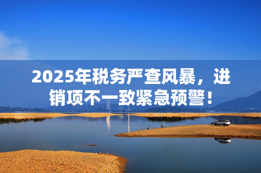 2025年税务严查风暴，进销项不一致紧急预警！
