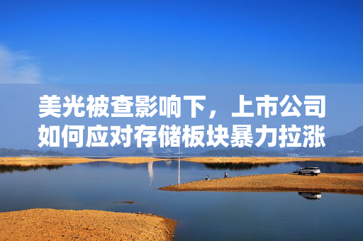 美光被查影响下，上市公司如何应对存储板块暴力拉涨