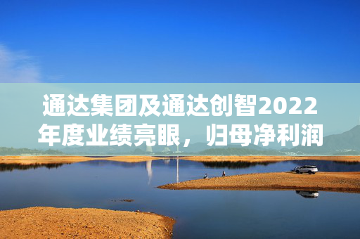 通达集团及通达创智2022年度业绩亮眼，归母净利润达1.32亿元