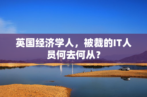 英国经济学人，被裁的IT人员何去何从？