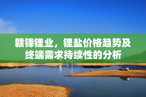 赣锋锂业，锂盐价格趋势及终端需求持续性的分析