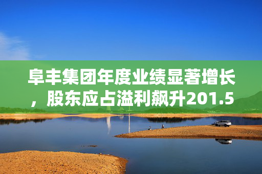 阜丰集团年度业绩显著增长，股东应占溢利飙升201.5%至近39亿元
