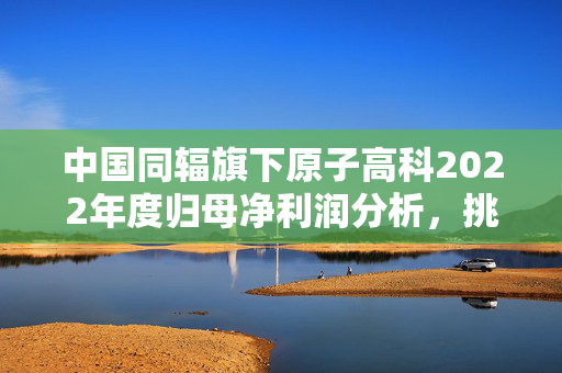 中国同辐旗下原子高科2022年度归母净利润分析，挑战与机遇并存