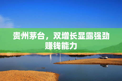 贵州茅台，双增长显露强劲赚钱能力