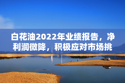 白花油2022年业绩报告，净利润微降，积极应对市场挑战