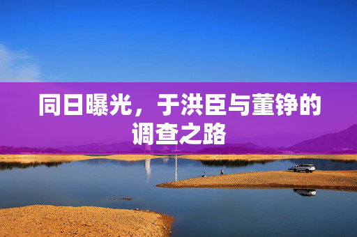 同日曝光，于洪臣与董铮的调查之路