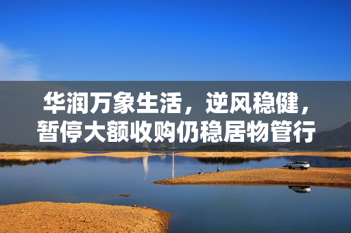 华润万象生活，逆风稳健，暂停大额收购仍稳居物管行业并购王宝座