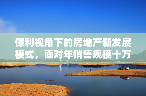 保利视角下的房地产新发展模式，面对年销售规模十万亿的挑战与建议