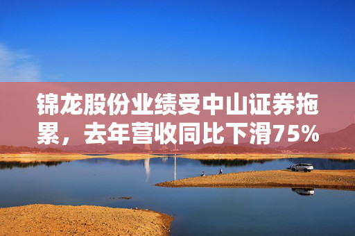 锦龙股份业绩受中山证券拖累，去年营收同比下滑75%的深度解读