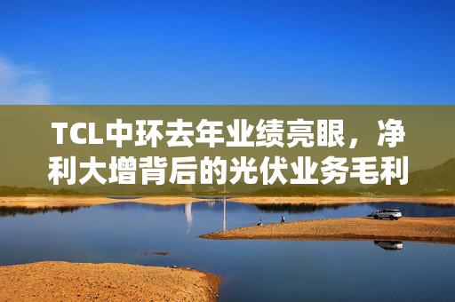 TCL中环去年业绩亮眼，净利大增背后的光伏业务毛利率下滑现象分析