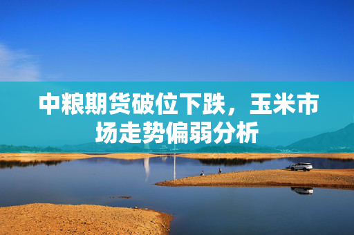 中粮期货破位下跌，玉米市场走势偏弱分析