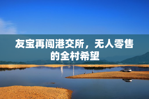友宝再闯港交所，无人零售的全村希望