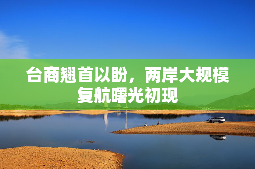 台商翘首以盼，两岸大规模复航曙光初现