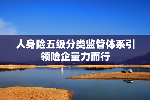 人身险五级分类监管体系引领险企量力而行