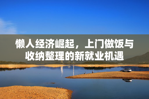 懒人经济崛起，上门做饭与收纳整理的新就业机遇