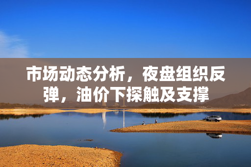 市场动态分析，夜盘组织反弹，油价下探触及支撑