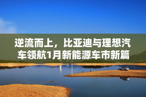 逆流而上，比亚迪与理想汽车领航1月新能源车市新篇章