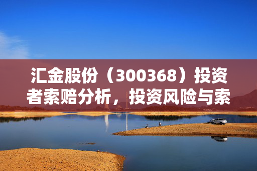汇金股份（300368）投资者索赔分析，投资风险与索赔策略探讨