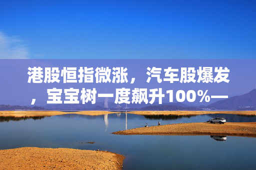 港股恒指微涨，汽车股爆发，宝宝树一度飙升100%——市场动态与投资观察