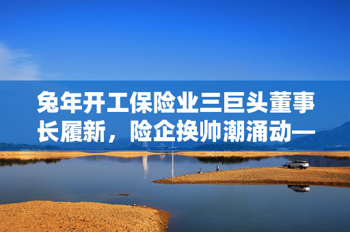 兔年开工保险业三巨头董事长履新，险企换帅潮涌动——2月1日保险日报深度解析