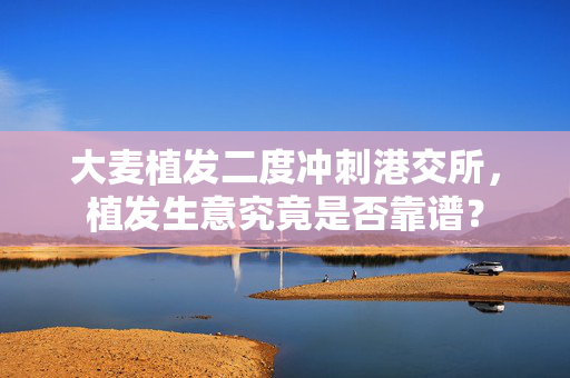 大麦植发二度冲刺港交所，植发生意究竟是否靠谱？