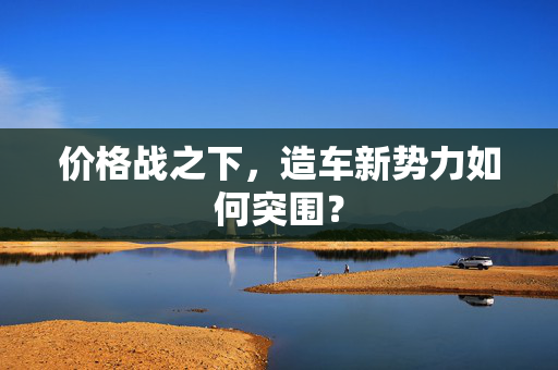 价格战之下，造车新势力如何突围？