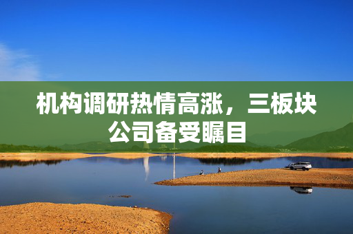 机构调研热情高涨，三板块公司备受瞩目