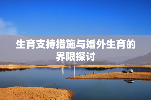 生育支持措施与婚外生育的界限探讨