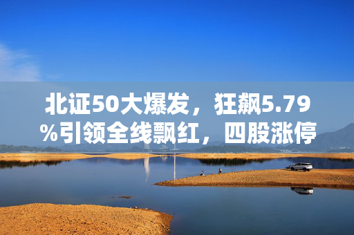 北证50大爆发，狂飙5.79%引领全线飘红，四股涨停，成交额破纪录，机构投资者积极入局