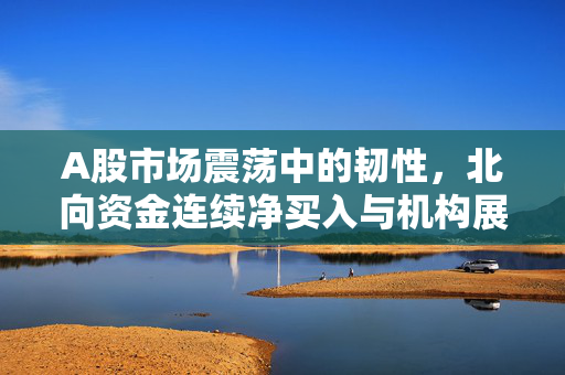 A股市场震荡中的韧性，北向资金连续净买入与机构展望三大指数的波动