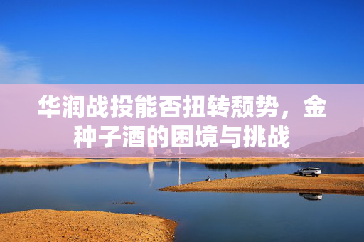 华润战投能否扭转颓势，金种子酒的困境与挑战