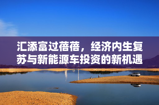 汇添富过蓓蓓，经济内生复苏与新能源车投资的新机遇